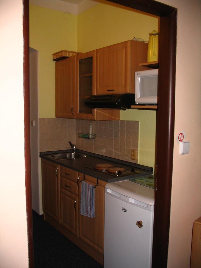 Apartmany Ingeborg Jáchymov Exteriér fotografie